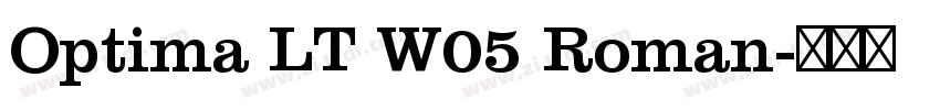 Optima LT W05 Roman字体转换